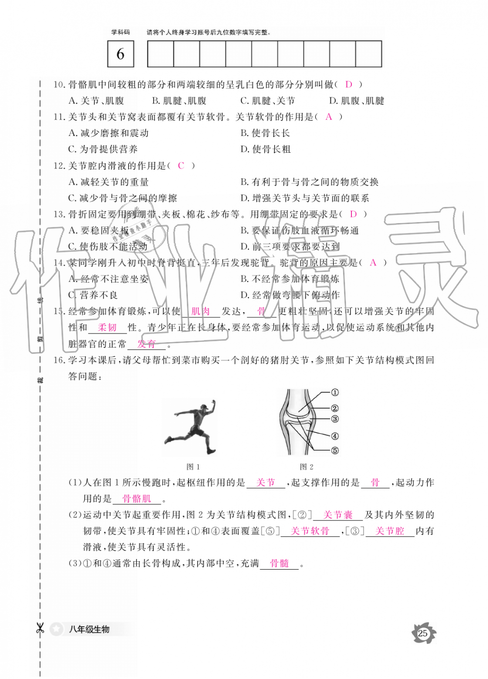 2019年生物作業(yè)本八年級(jí)上冊(cè)河北少兒版江西教育出版社 第25頁(yè)