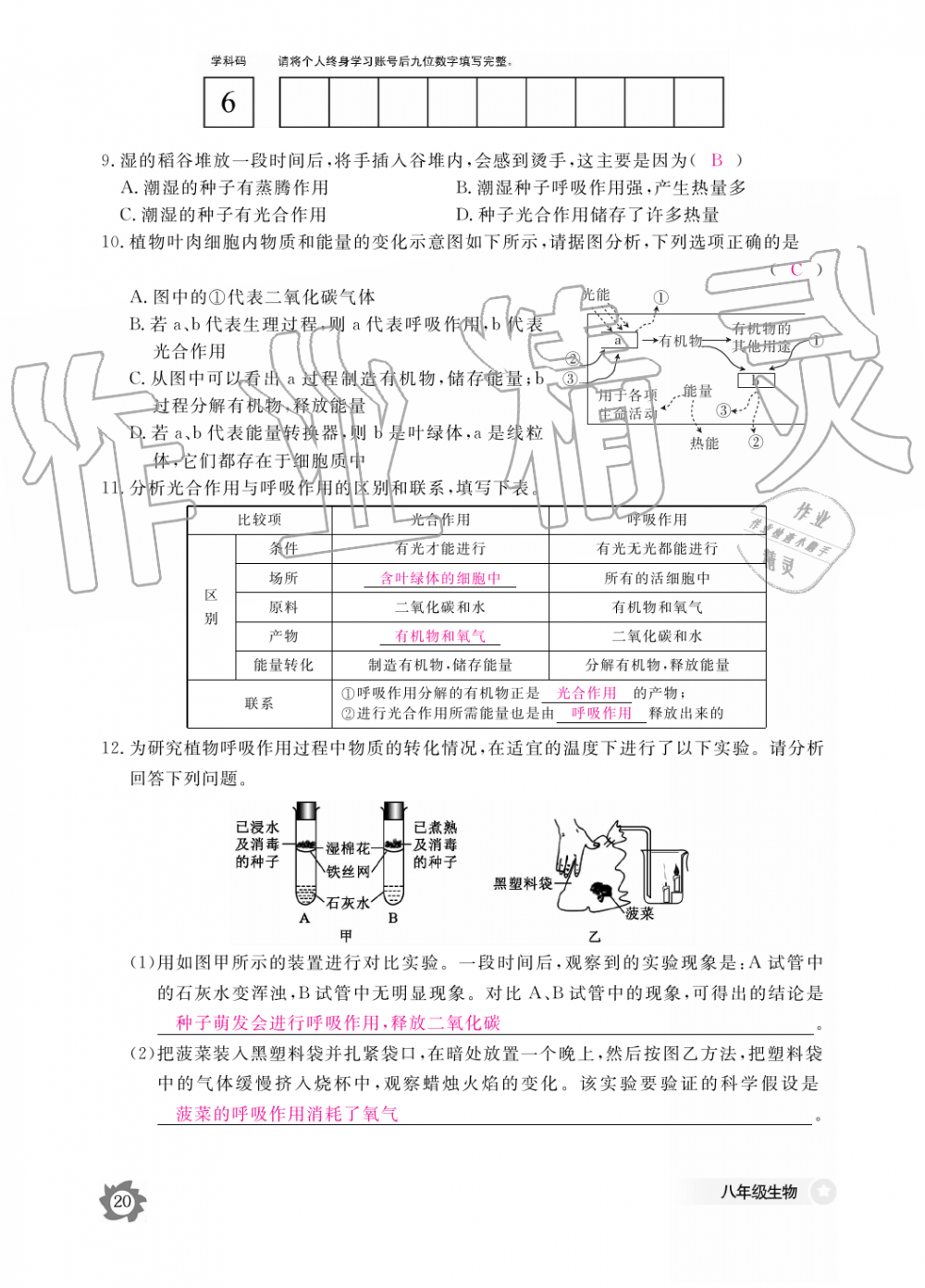 2019年生物作業(yè)本八年級上冊河北少兒版江西教育出版社 第20頁