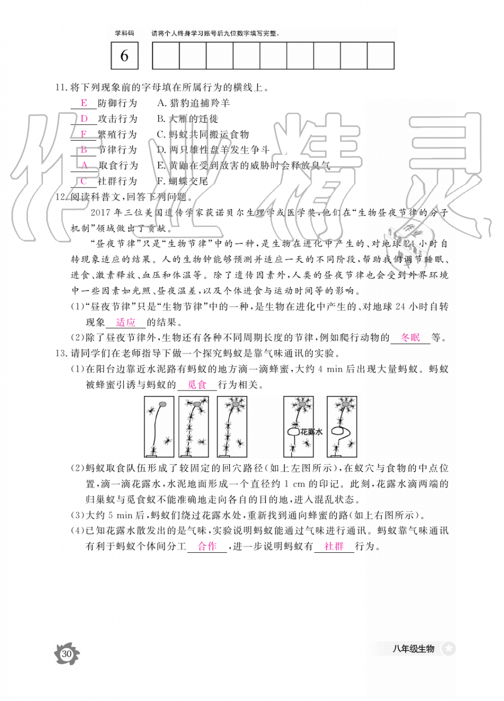 2019年生物作业本八年级上册河北少儿版江西教育出版社 第30页