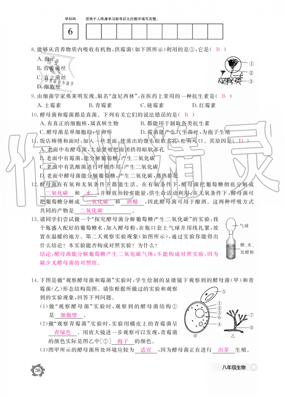 2019年生物作業(yè)本八年級上冊河北少兒版江西教育出版社 第38頁