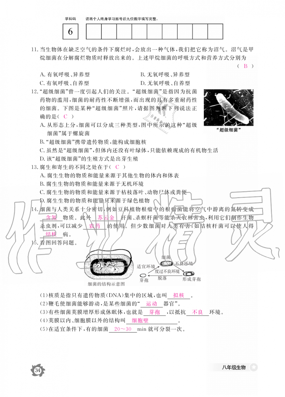 2019年生物作業(yè)本八年級上冊河北少兒版江西教育出版社 第34頁