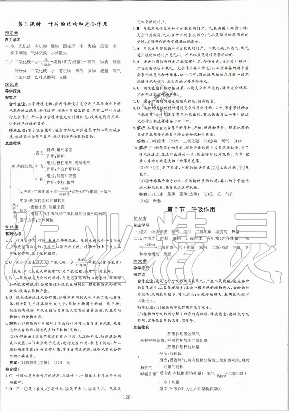 2019年初中同步学习导与练导学探究案七年级生物上册北师大版 第12页