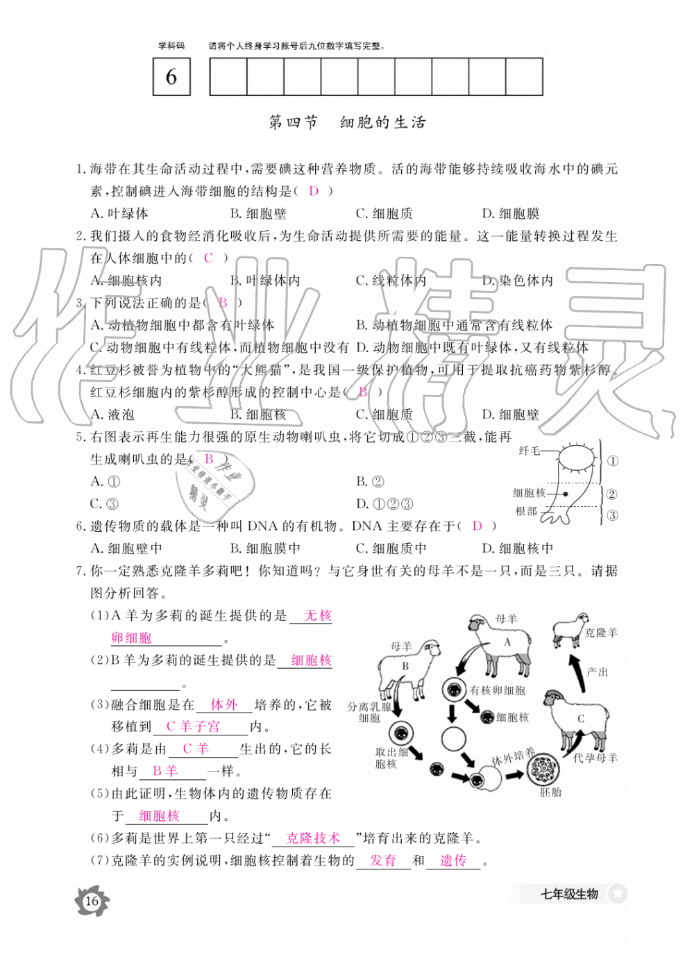 2019年生物作业本七年级上册人教版江西教育出版社 第16页