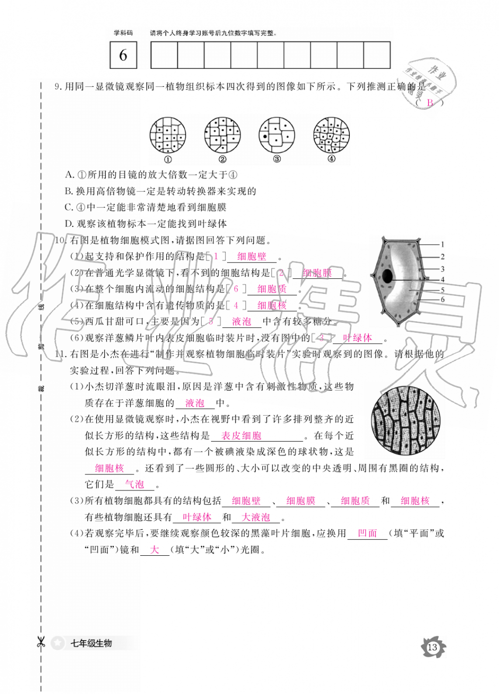 2019年生物作業(yè)本七年級(jí)上冊(cè)人教版江西教育出版社 第13頁(yè)