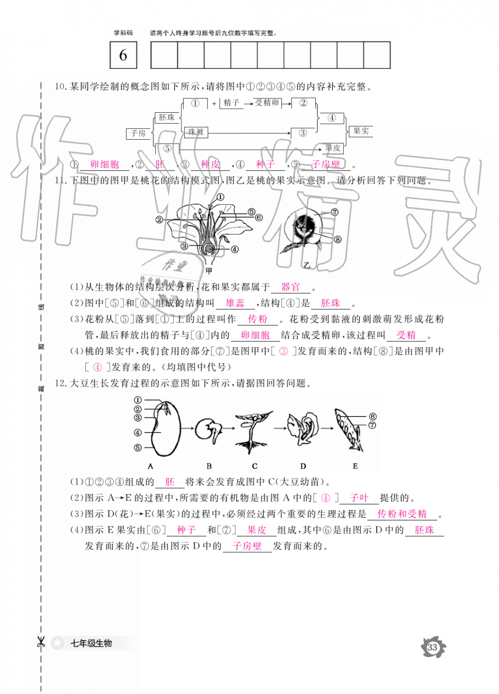 2019年生物作业本七年级上册人教版江西教育出版社 第33页