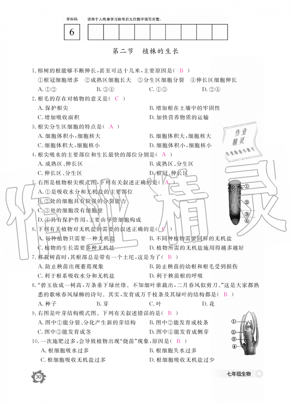 2019年生物作业本七年级上册人教版江西教育出版社 第30页