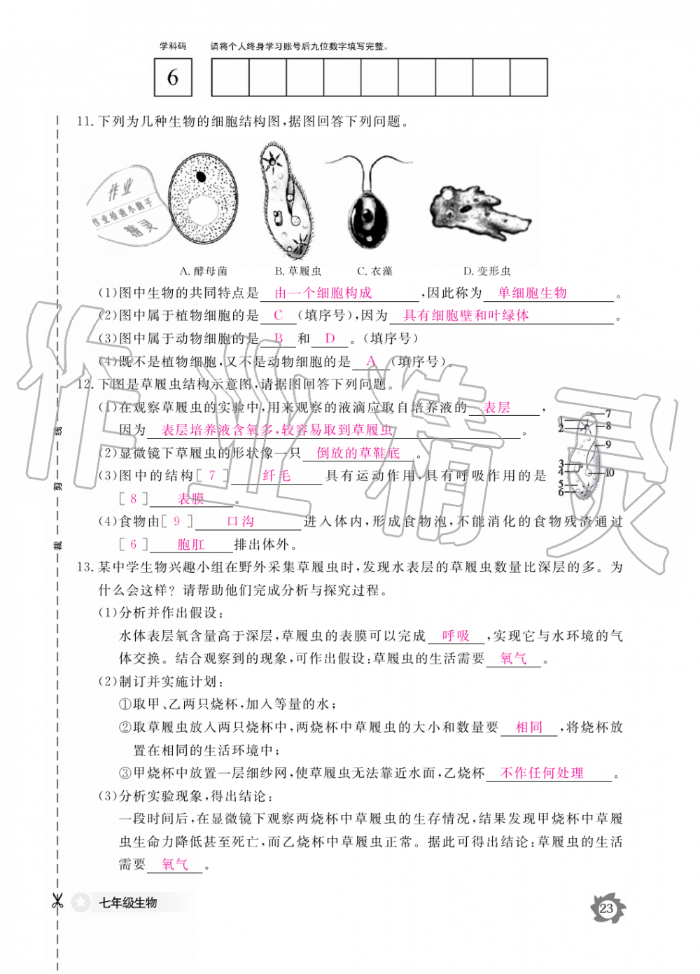 2019年生物作業(yè)本七年級(jí)上冊(cè)人教版江西教育出版社 第23頁(yè)