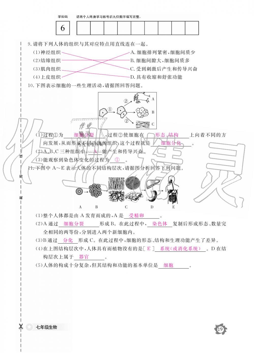 2019年生物作業(yè)本七年級上冊人教版江西教育出版社 第19頁