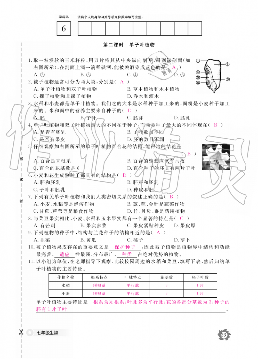 2019年生物作業(yè)本七年級上冊河北少兒版江西教育出版社 第23頁