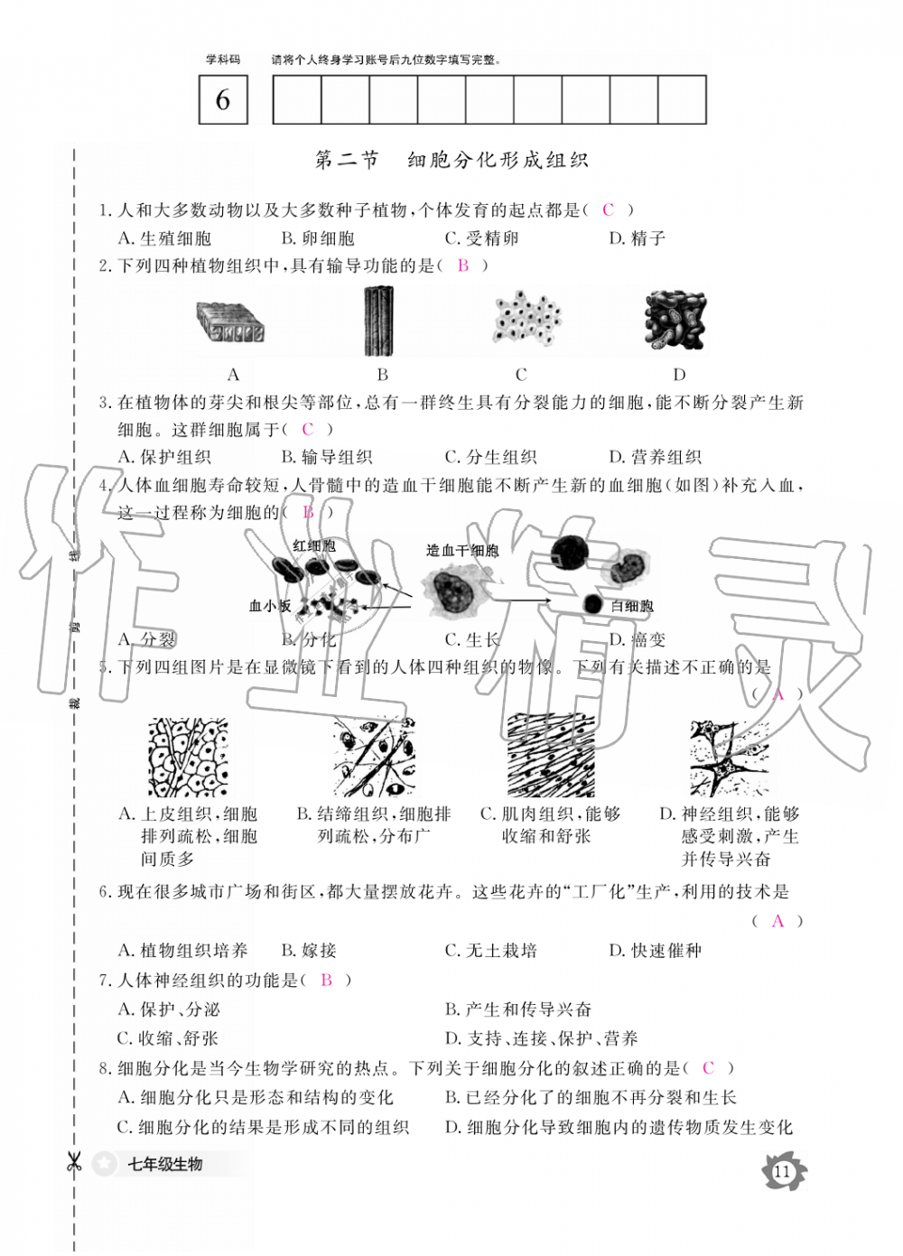 2019年生物作业本七年级上册河北少儿版江西教育出版社 第11页