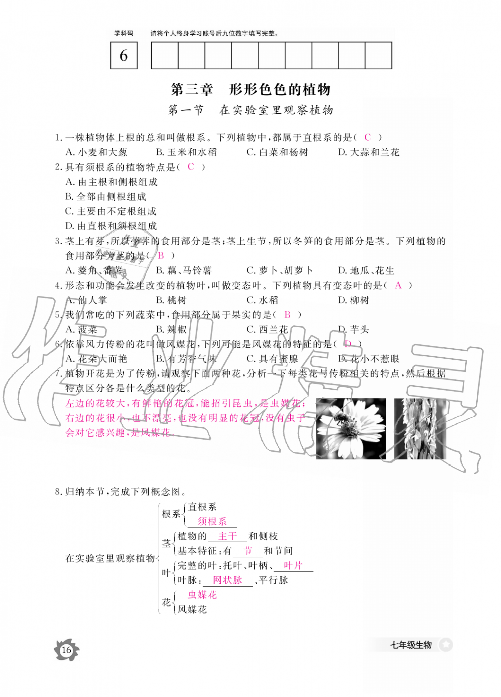 2019年生物作业本七年级上册河北少儿版江西教育出版社 第16页