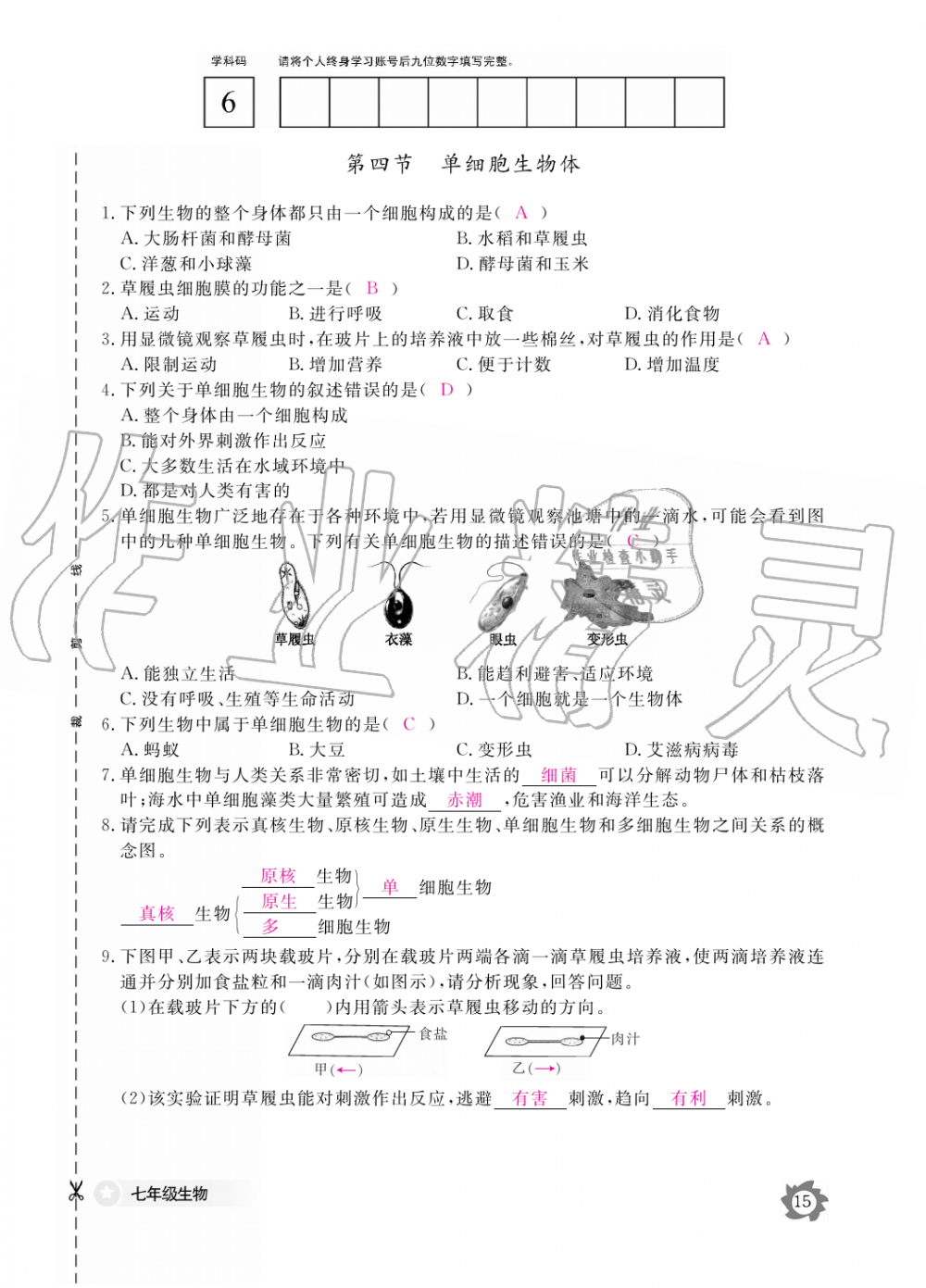 2019年生物作业本七年级上册河北少儿版江西教育出版社 第15页