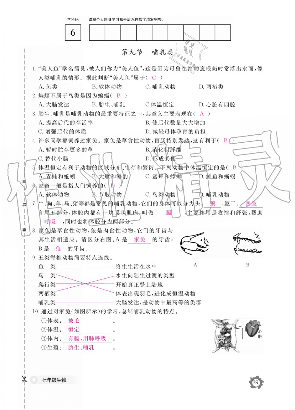 2019年生物作业本七年级上册河北少儿版江西教育出版社 第39页