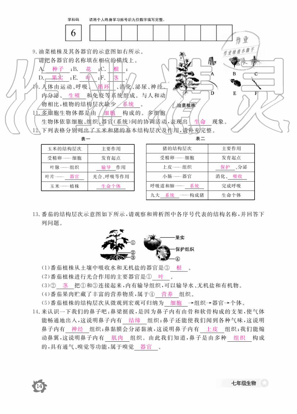 2019年生物作业本七年级上册河北少儿版江西教育出版社 第14页