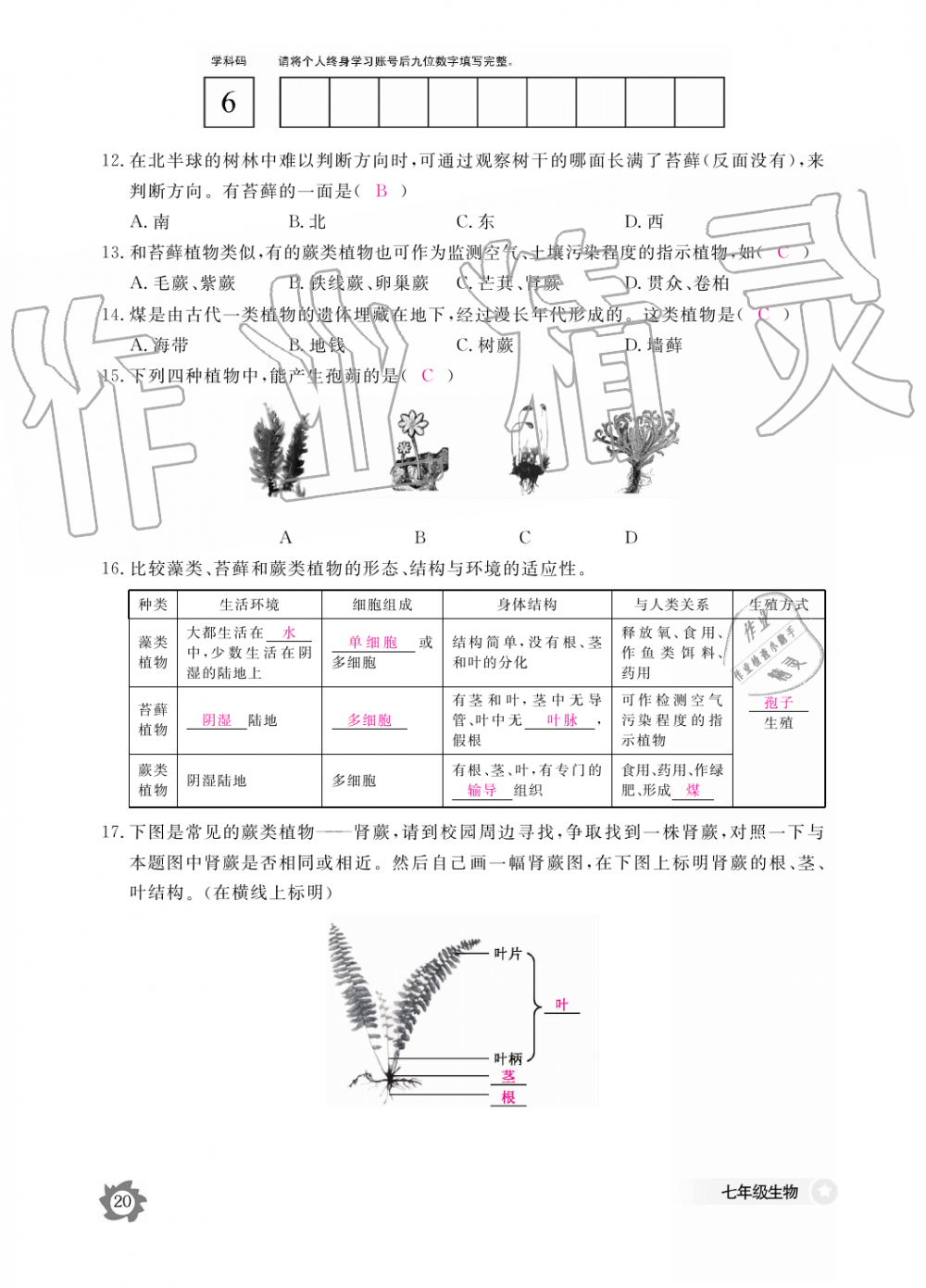 2019年生物作业本七年级上册河北少儿版江西教育出版社 第20页