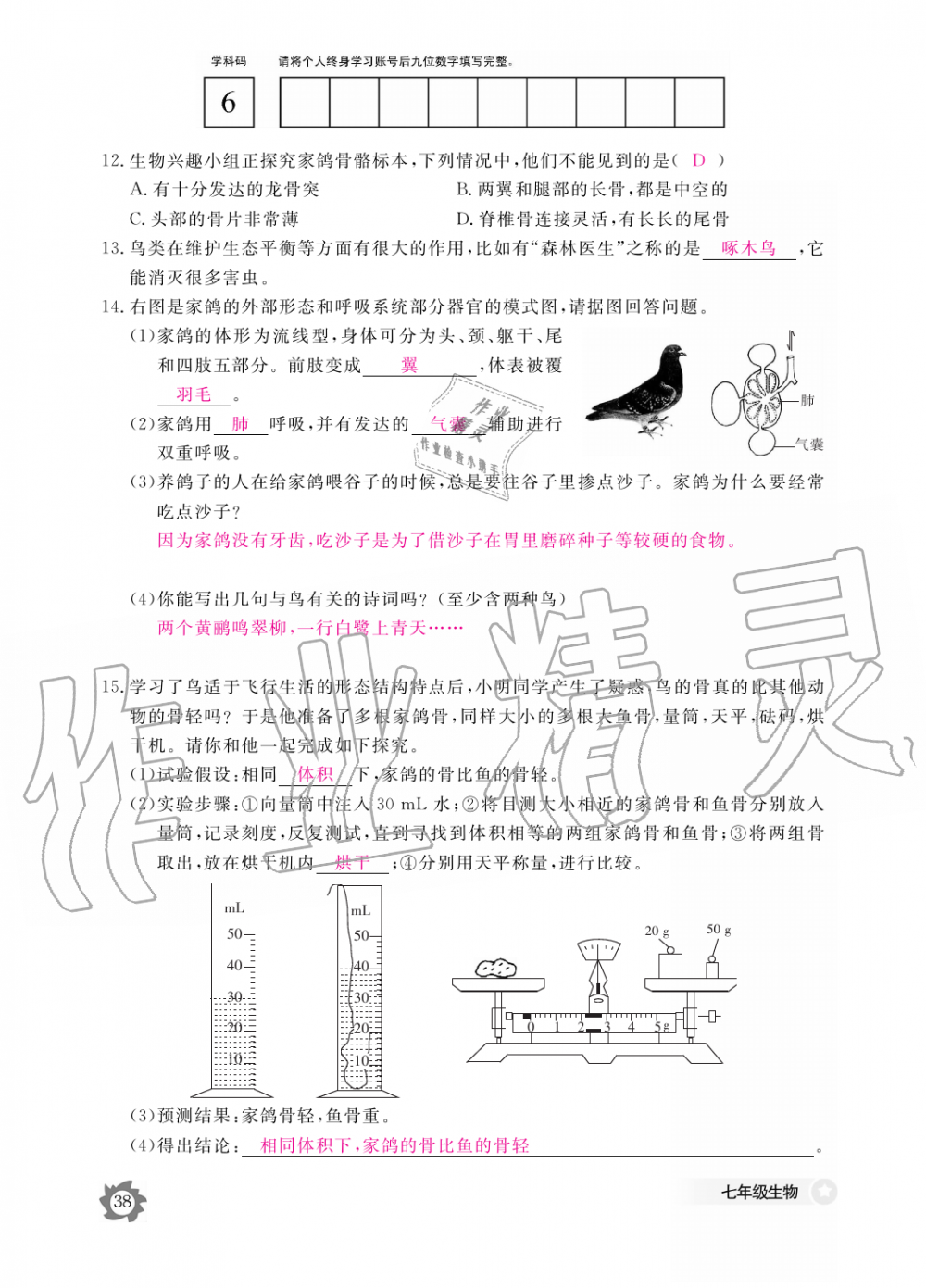 2019年生物作业本七年级上册河北少儿版江西教育出版社 第38页