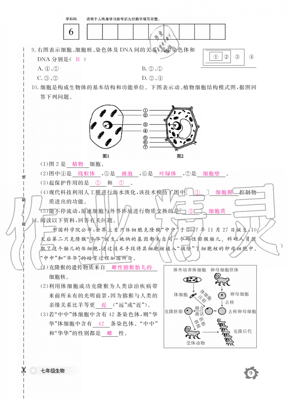 2019年生物作业本七年级上册河北少儿版江西教育出版社 第9页