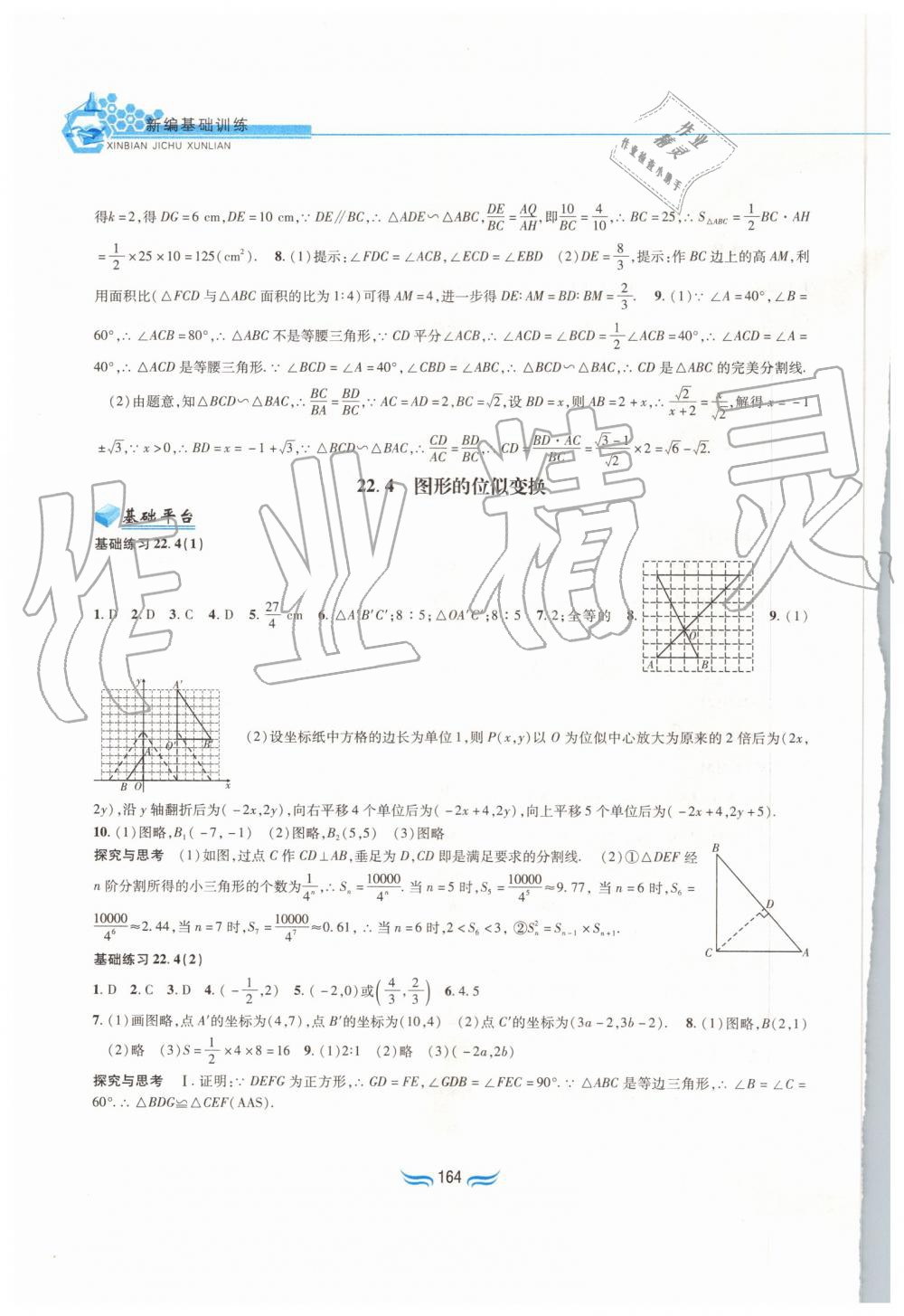 2019年新編基礎訓練九年級數學上冊滬科版黃山書社 第10頁