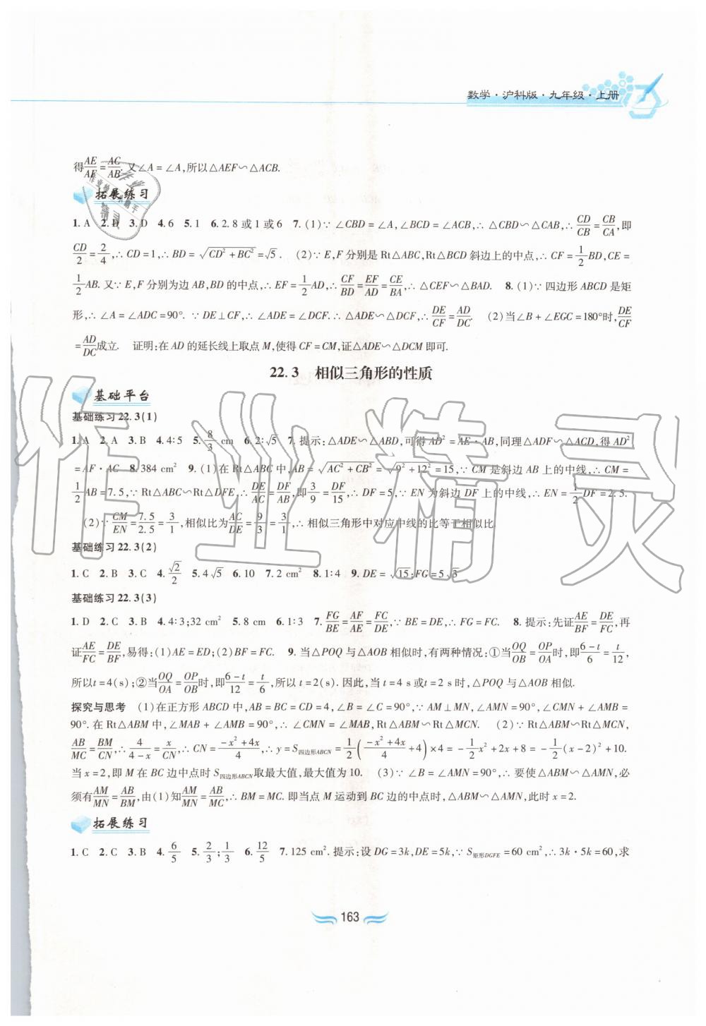 2019年新編基礎訓練九年級數學上冊滬科版黃山書社 第9頁