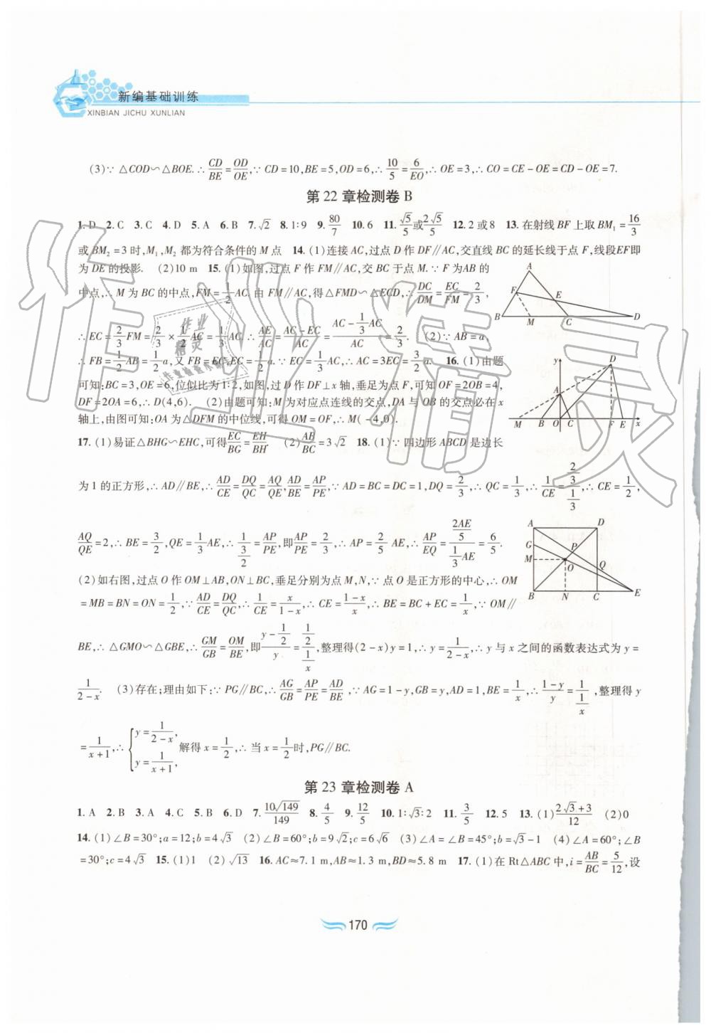 2019年新編基礎訓練九年級數學上冊滬科版黃山書社 第16頁