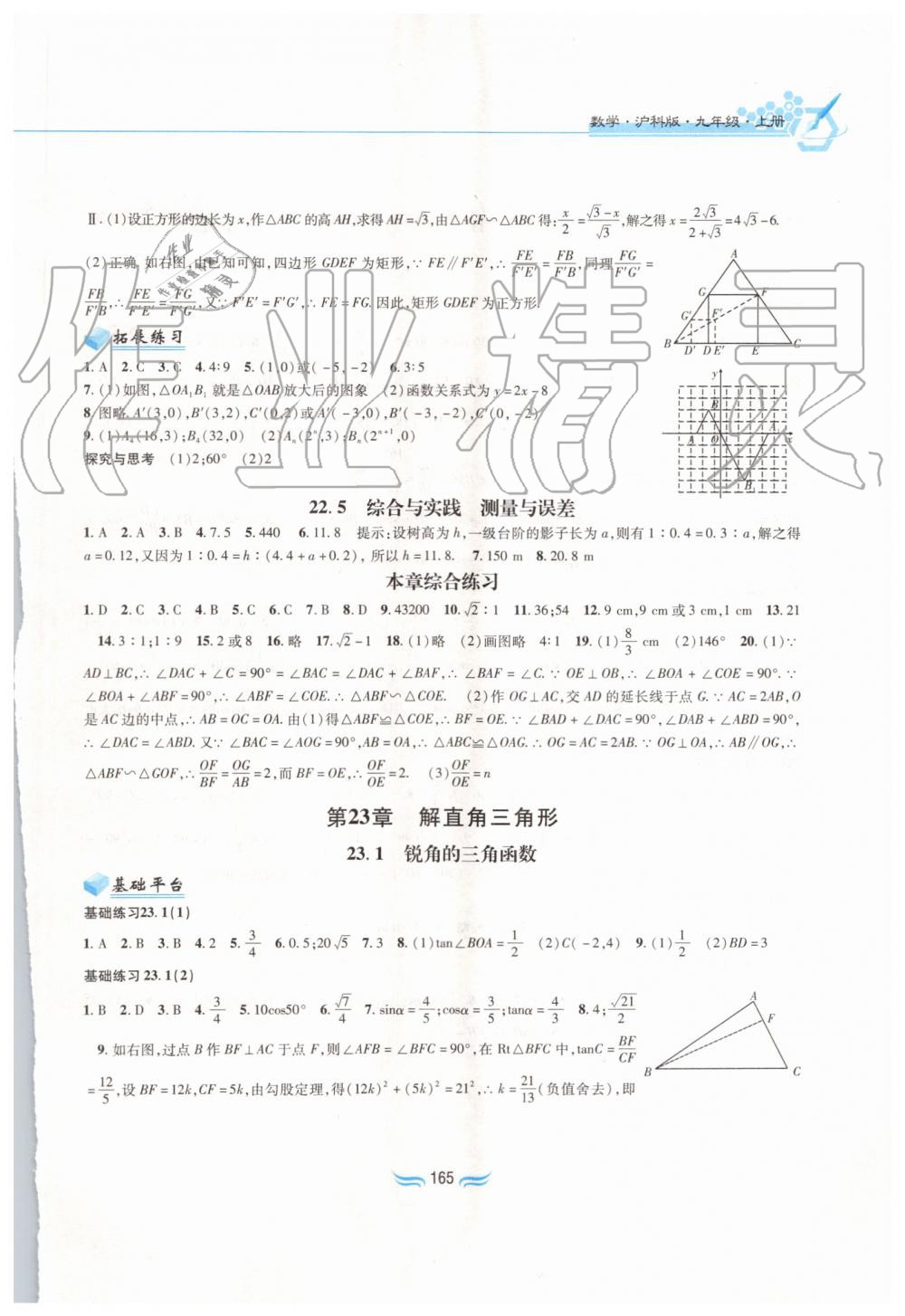 2019年新編基礎(chǔ)訓(xùn)練九年級(jí)數(shù)學(xué)上冊(cè)滬科版黃山書(shū)社 第11頁(yè)