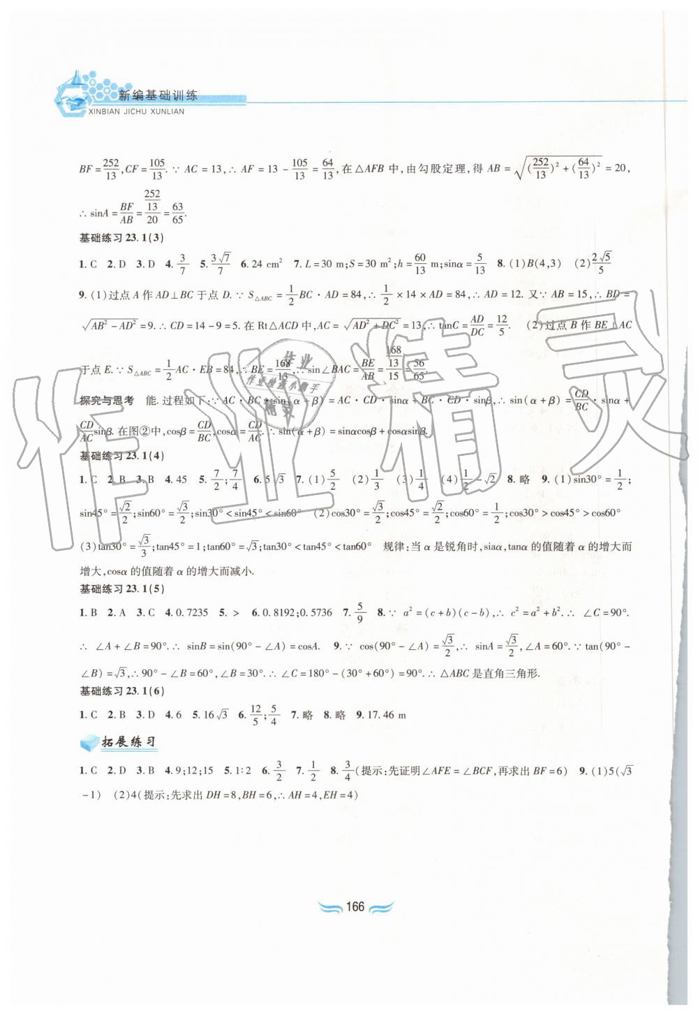 2019年新編基礎訓練九年級數學上冊滬科版黃山書社 第12頁