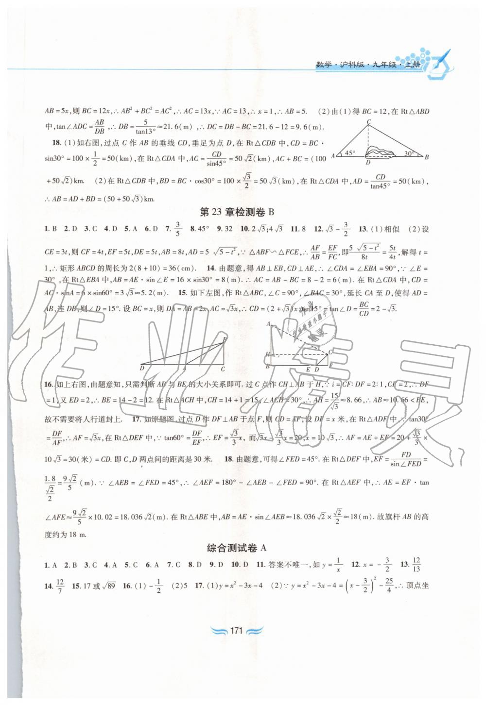 2019年新編基礎訓練九年級數學上冊滬科版黃山書社 第17頁