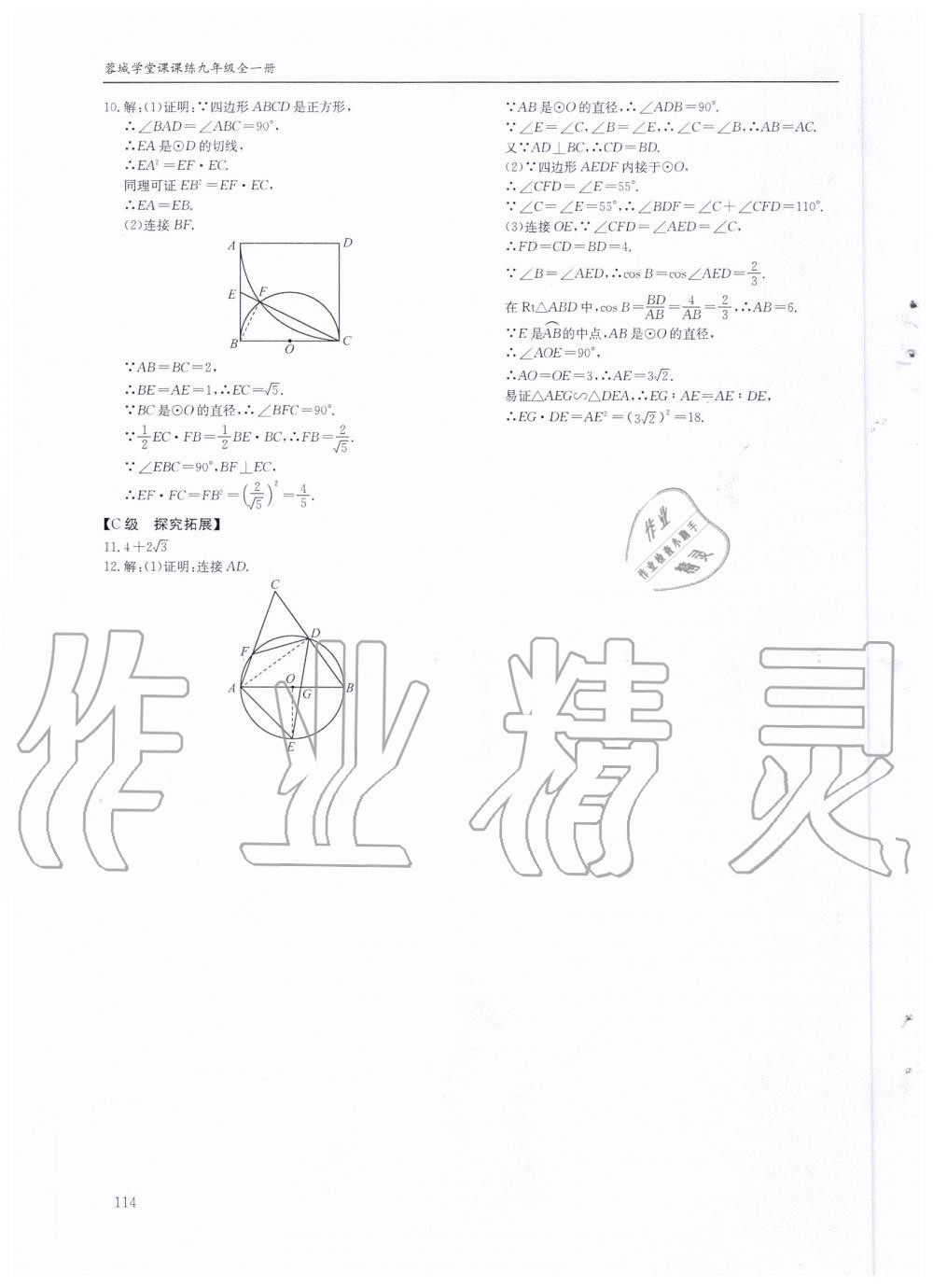 2019年蓉城学堂课课练九年级数学全一册北师大版 第114页