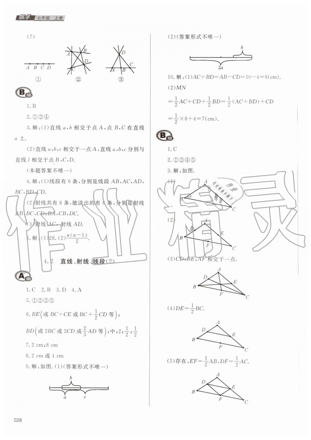 2019年学习质量监测七年级数学上册人教版 第28页