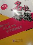 2020年名校导练九年级语文全一册人教版