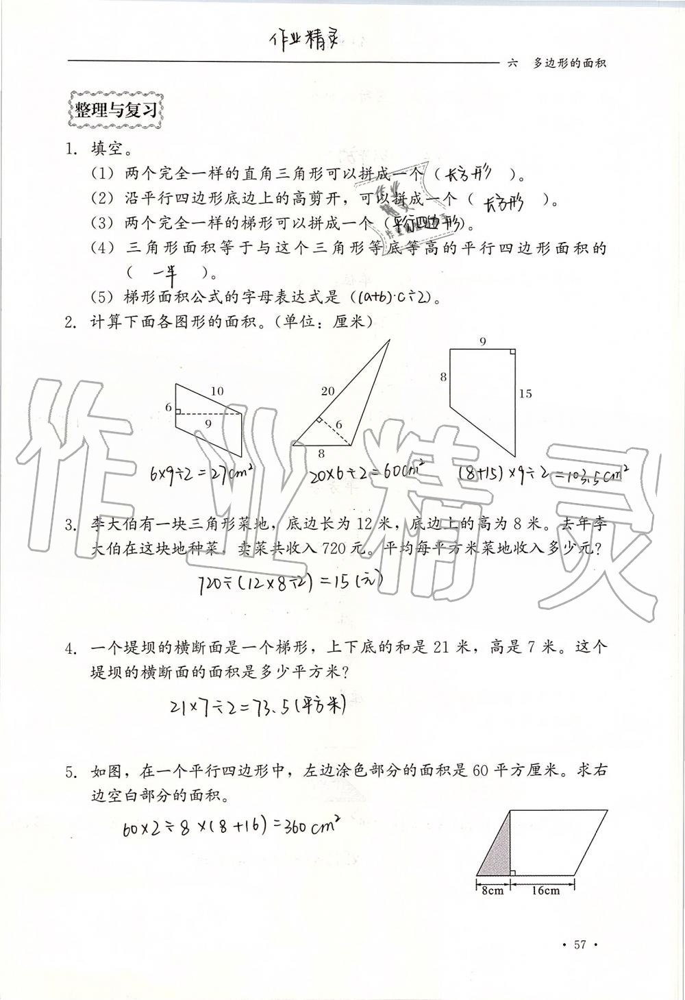 2019年同步練習(xí)冊(cè)五年級(jí)數(shù)學(xué)上冊(cè)冀教版河北教育出版社 第57頁