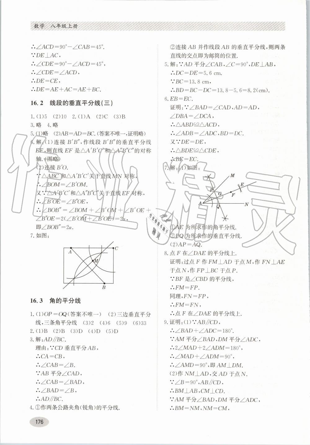 2019年同步練習(xí)冊八年級數(shù)學(xué)上冊冀教版河北教育出版社 第16頁