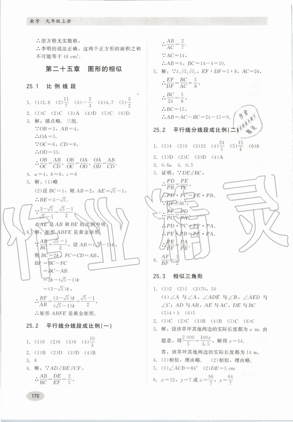 2019年同步练习册九年级数学上册冀教版河北教育出版社 第10页