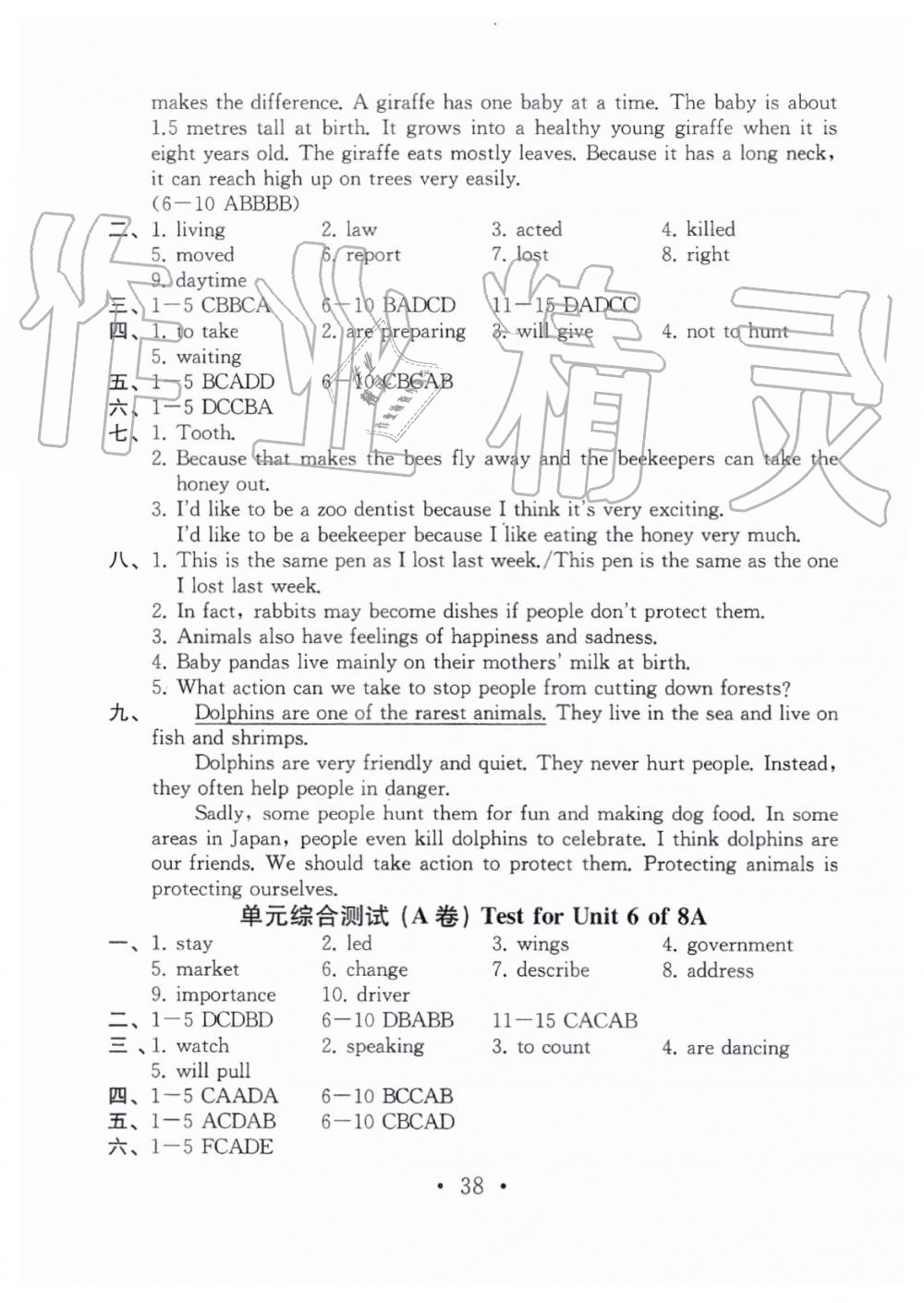 2019年綜合素質(zhì)隨堂反饋2八年級上冊譯林版蘇州專版 第37頁