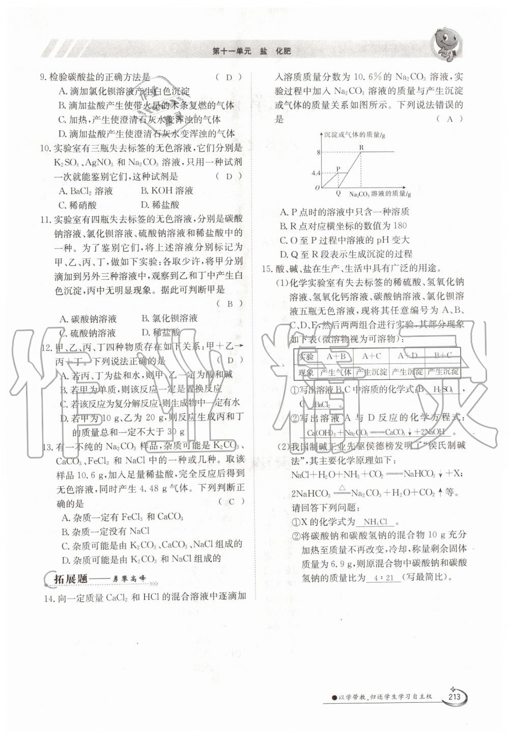 2019年金太阳导学案九年级化学全一册人教版 第213页