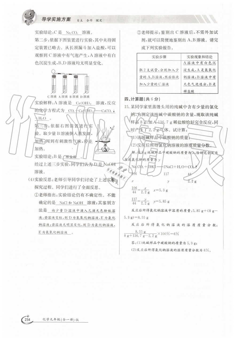 2019年金太阳导学案九年级化学全一册人教版 第234页