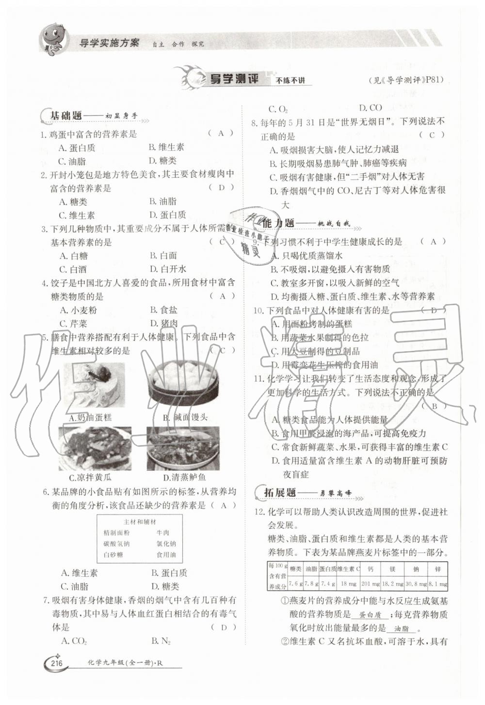 2019年金太阳导学案九年级化学全一册人教版 第216页