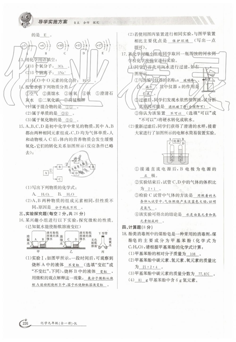 2019年金太阳导学案九年级化学全一册人教版 第226页