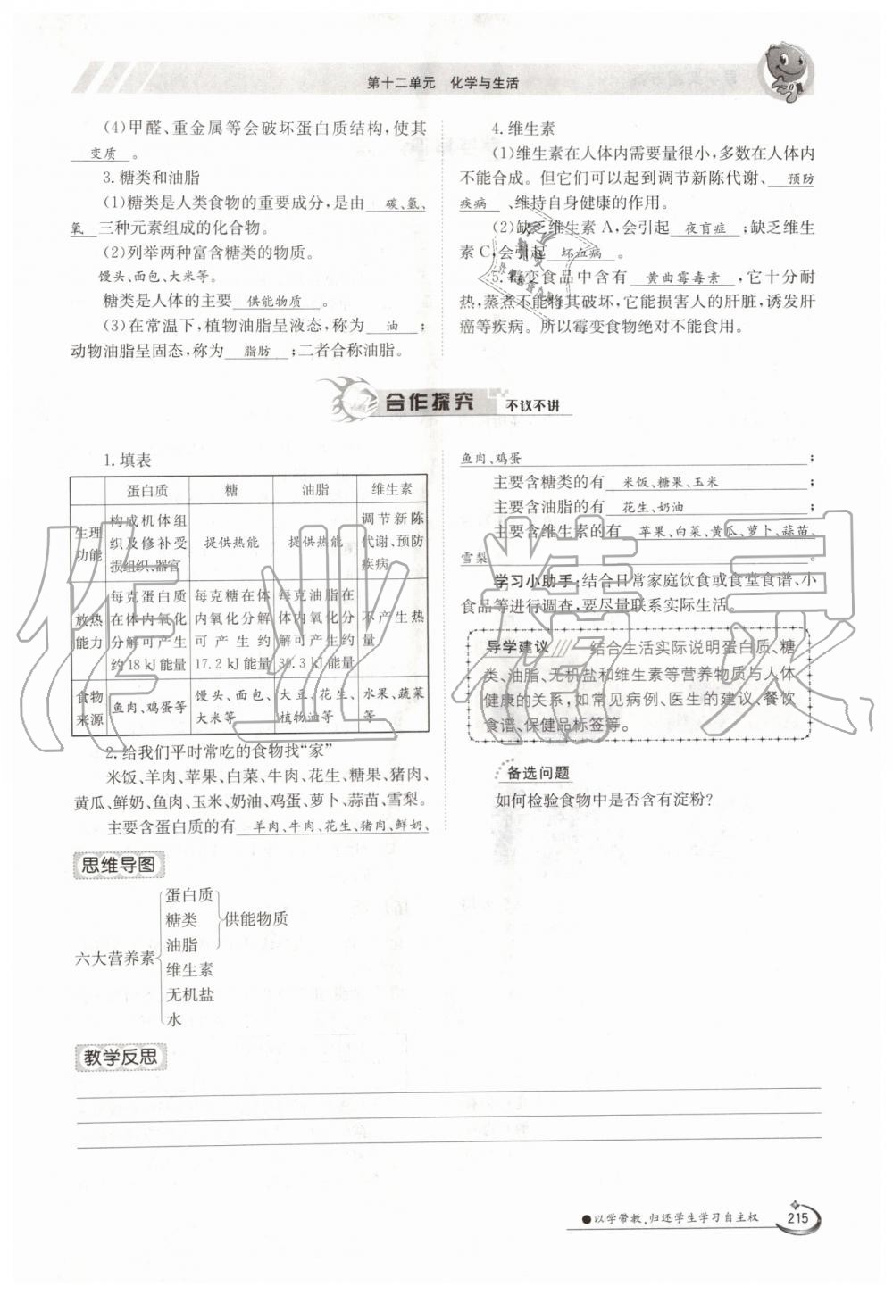 2019年金太阳导学案九年级化学全一册人教版 第215页