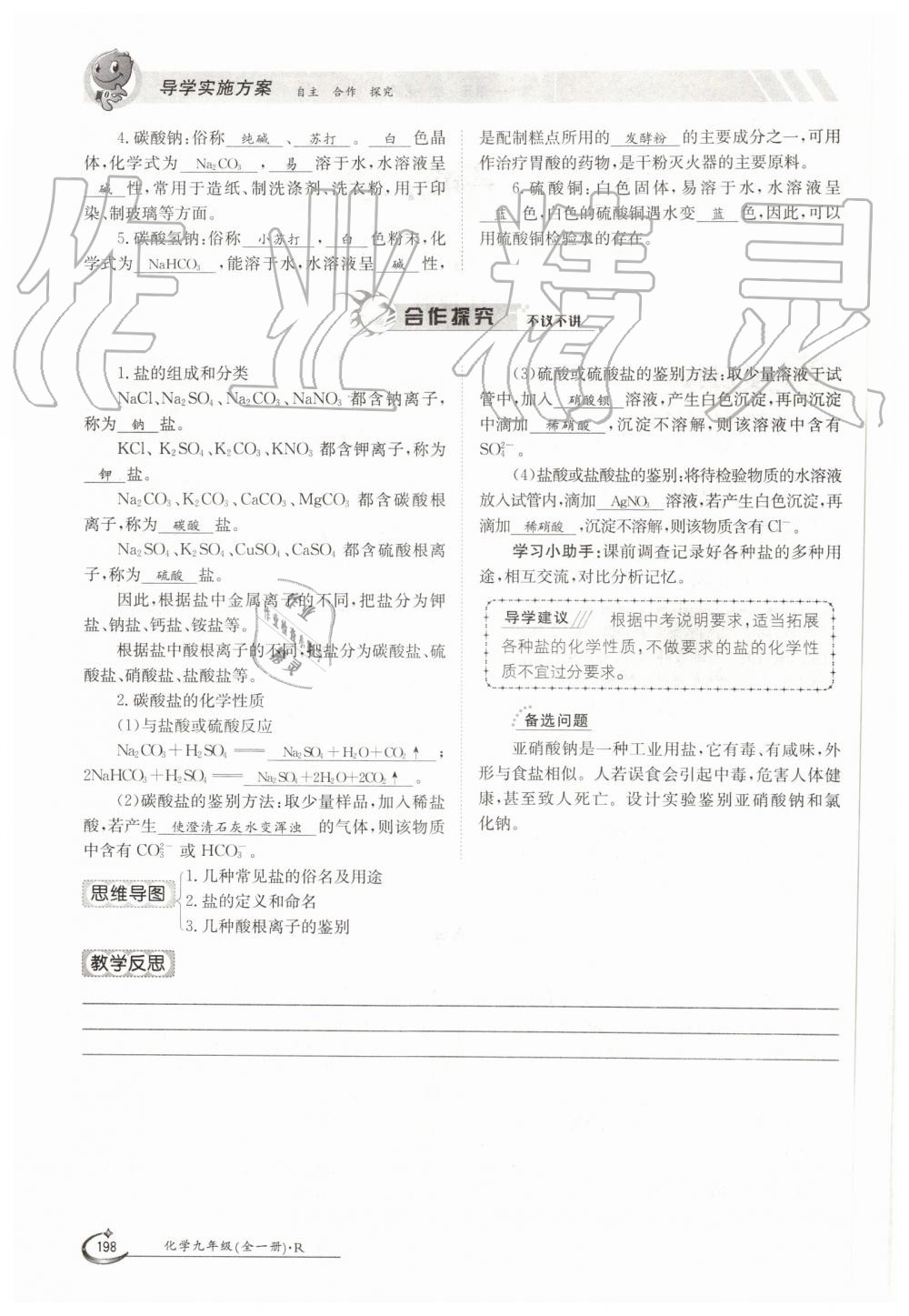 2019年金太阳导学案九年级化学全一册人教版 第198页