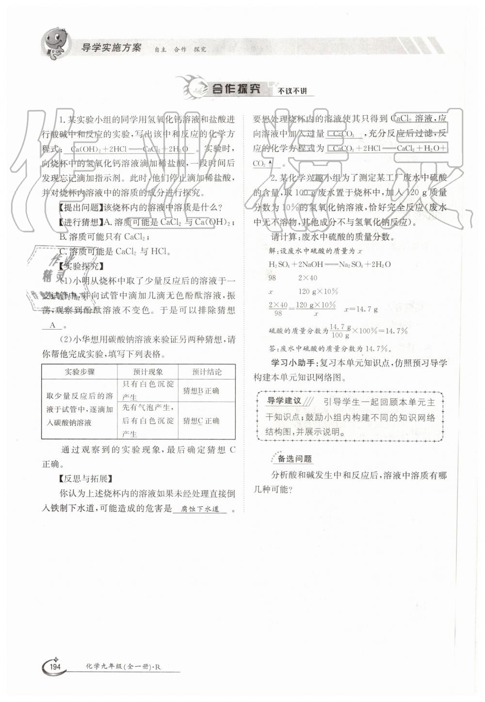 2019年金太阳导学案九年级化学全一册人教版 第194页