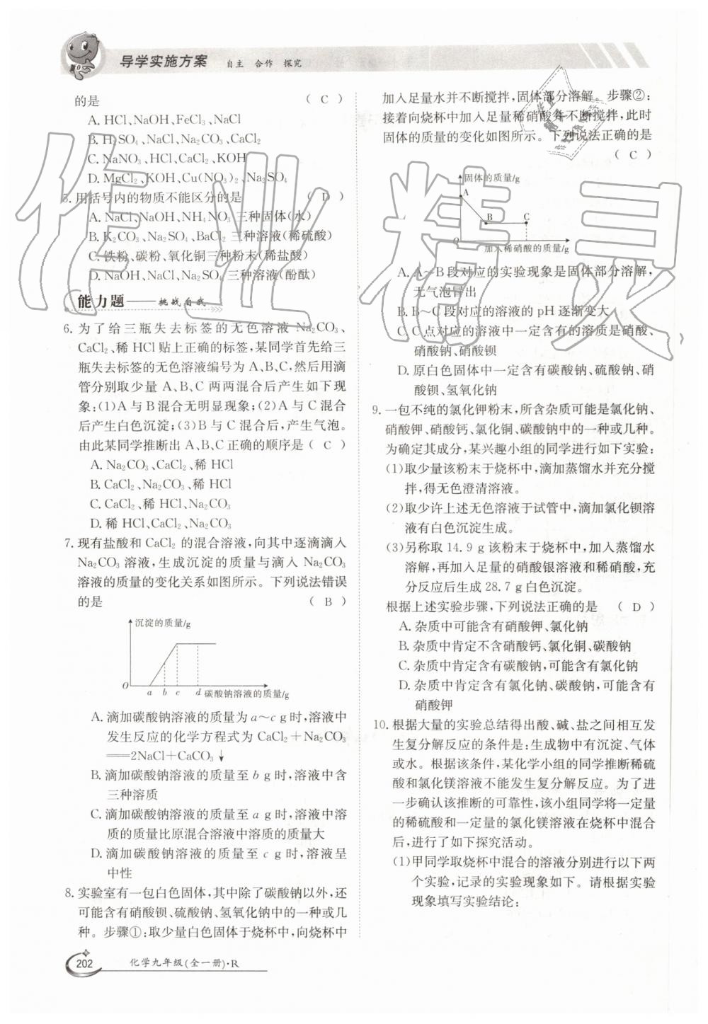 2019年金太阳导学案九年级化学全一册人教版 第202页