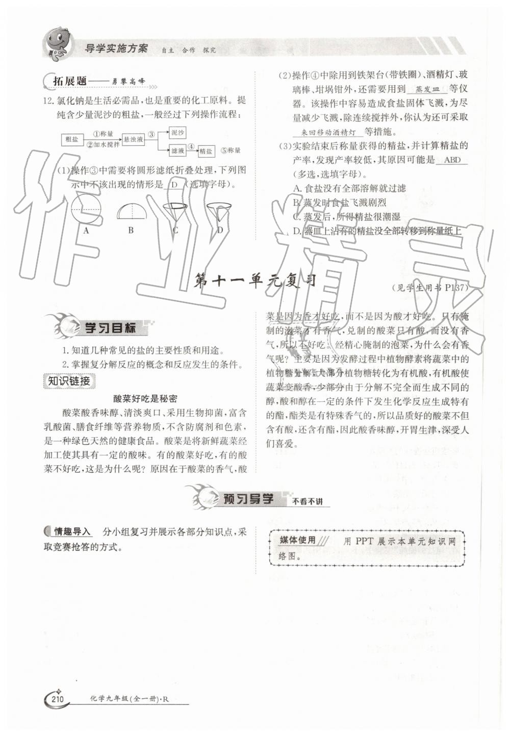 2019年金太陽導(dǎo)學(xué)案九年級化學(xué)全一冊人教版 第210頁