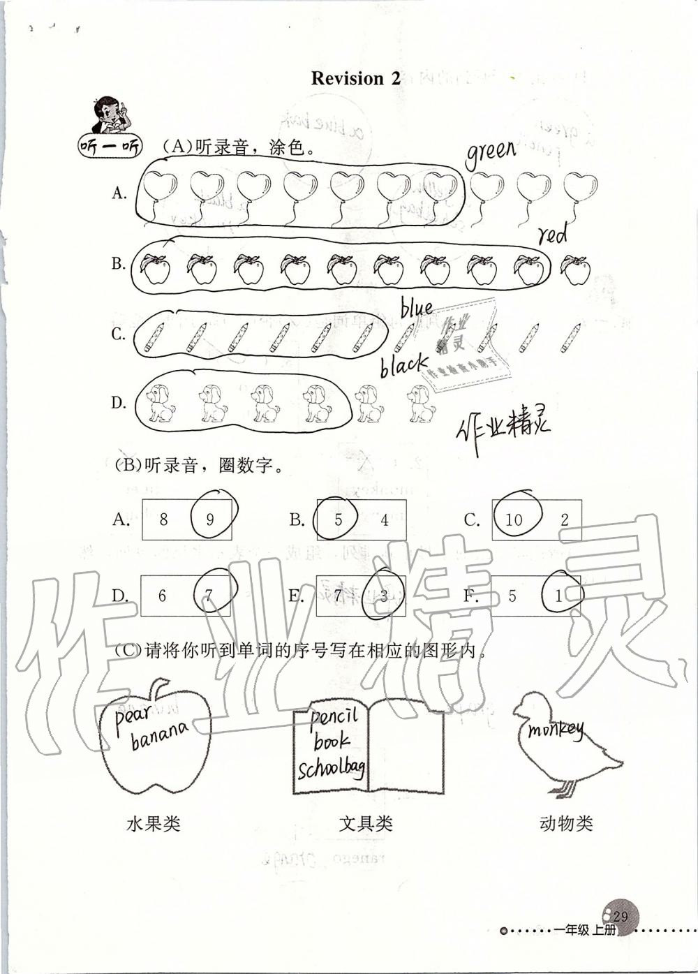 2019年英語配套練習(xí)與檢測一年級上冊人教新起點 參考答案第29頁