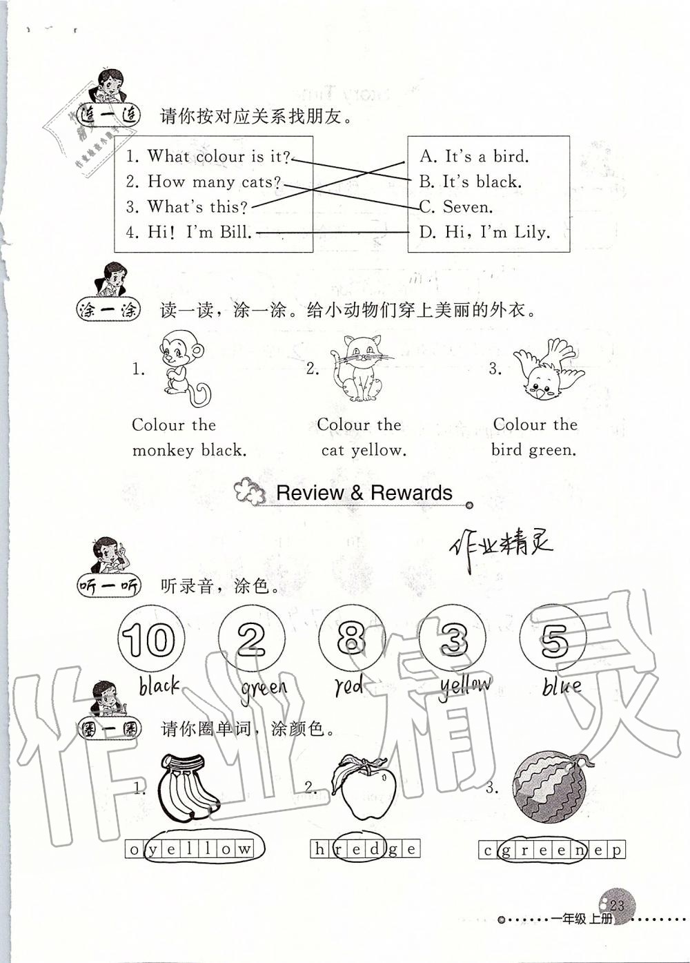 2019年英語配套練習(xí)與檢測一年級上冊人教新起點 參考答案第23頁