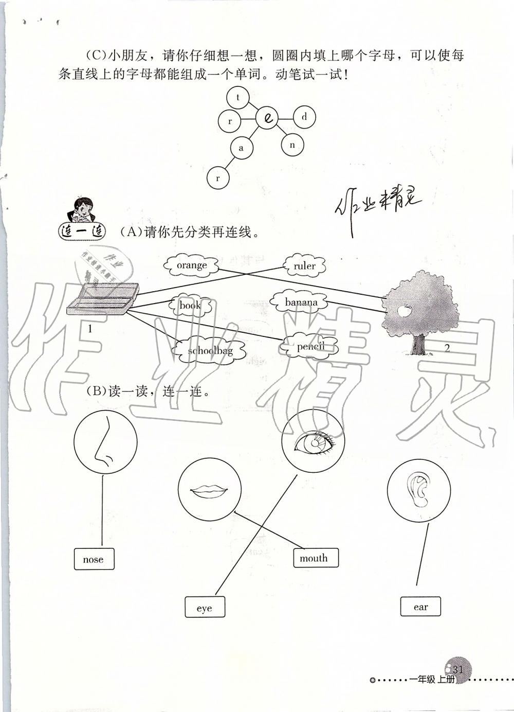 2019年英語配套練習(xí)與檢測一年級上冊人教新起點 參考答案第31頁