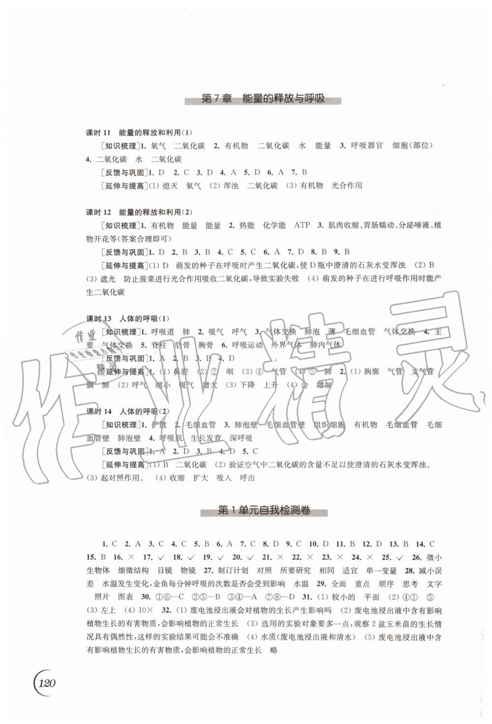 2019年同步练习七年级生物学上册苏科版江苏凤凰科学技术出版社 第6页