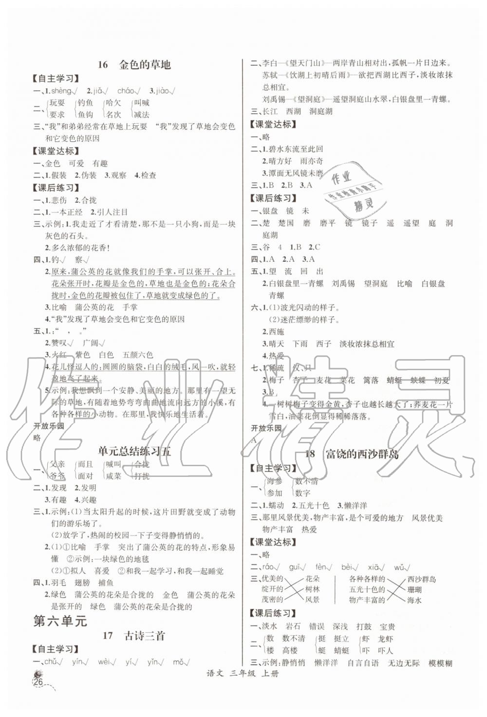 2019年同步导学案课时练三年级语文上册人教版河北专版 第6页