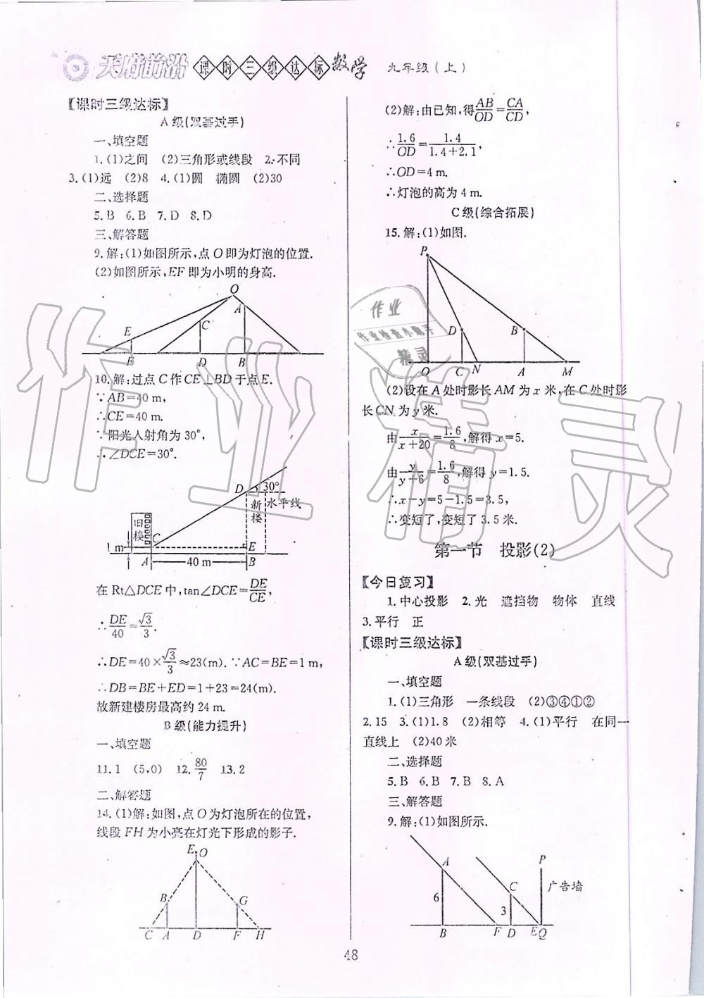 2019年天府前沿課時三級達標九年級數(shù)學上冊北師大版 第48頁