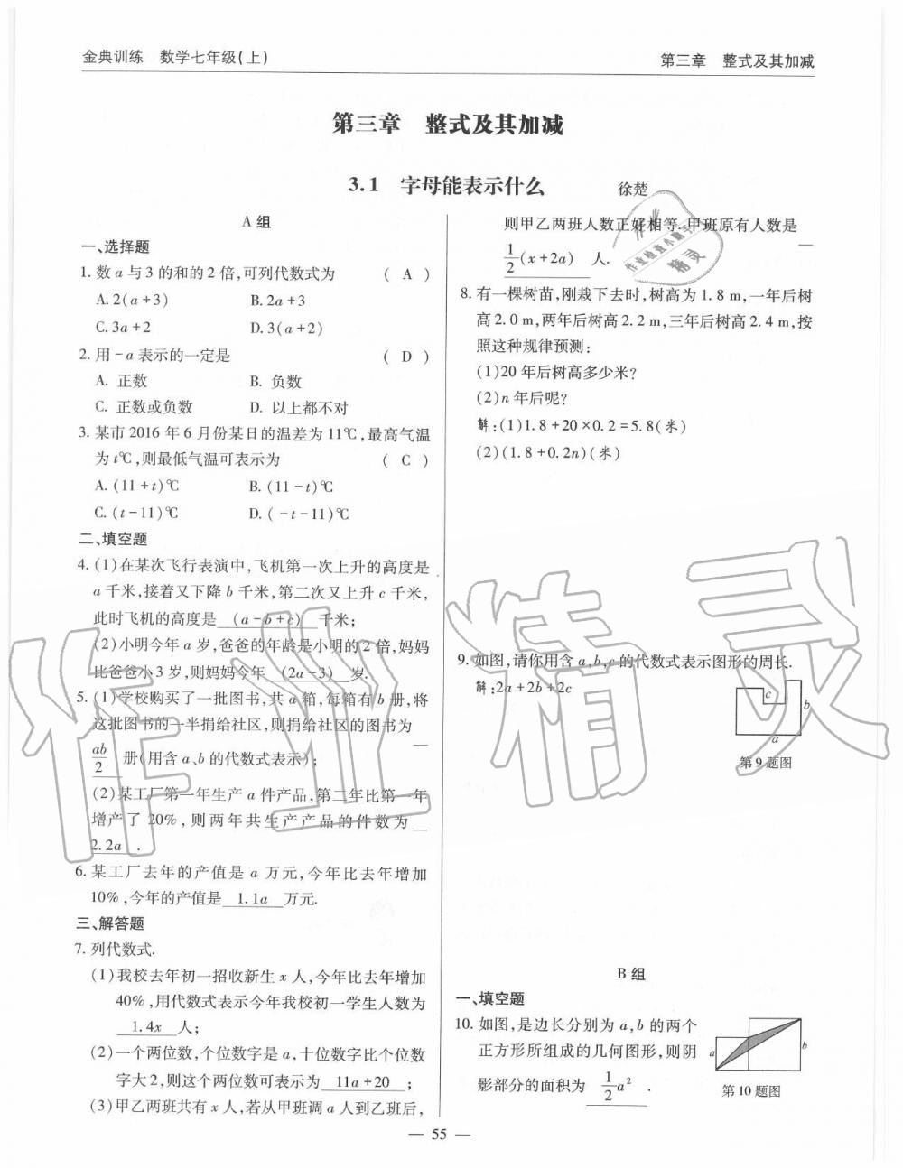 2019年金典訓練七年級數(shù)學上冊北師大版 第55頁